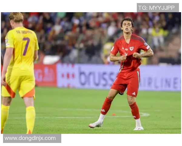 比利时足球国家队男球员表现解析与未来潜力展望